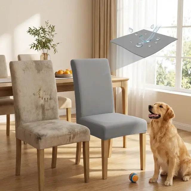FUNDAS PARA SILLAS DE COMEDOR GRATIS CAMINO DE MESA  ⭐⭐⭐⭐⭐5/5